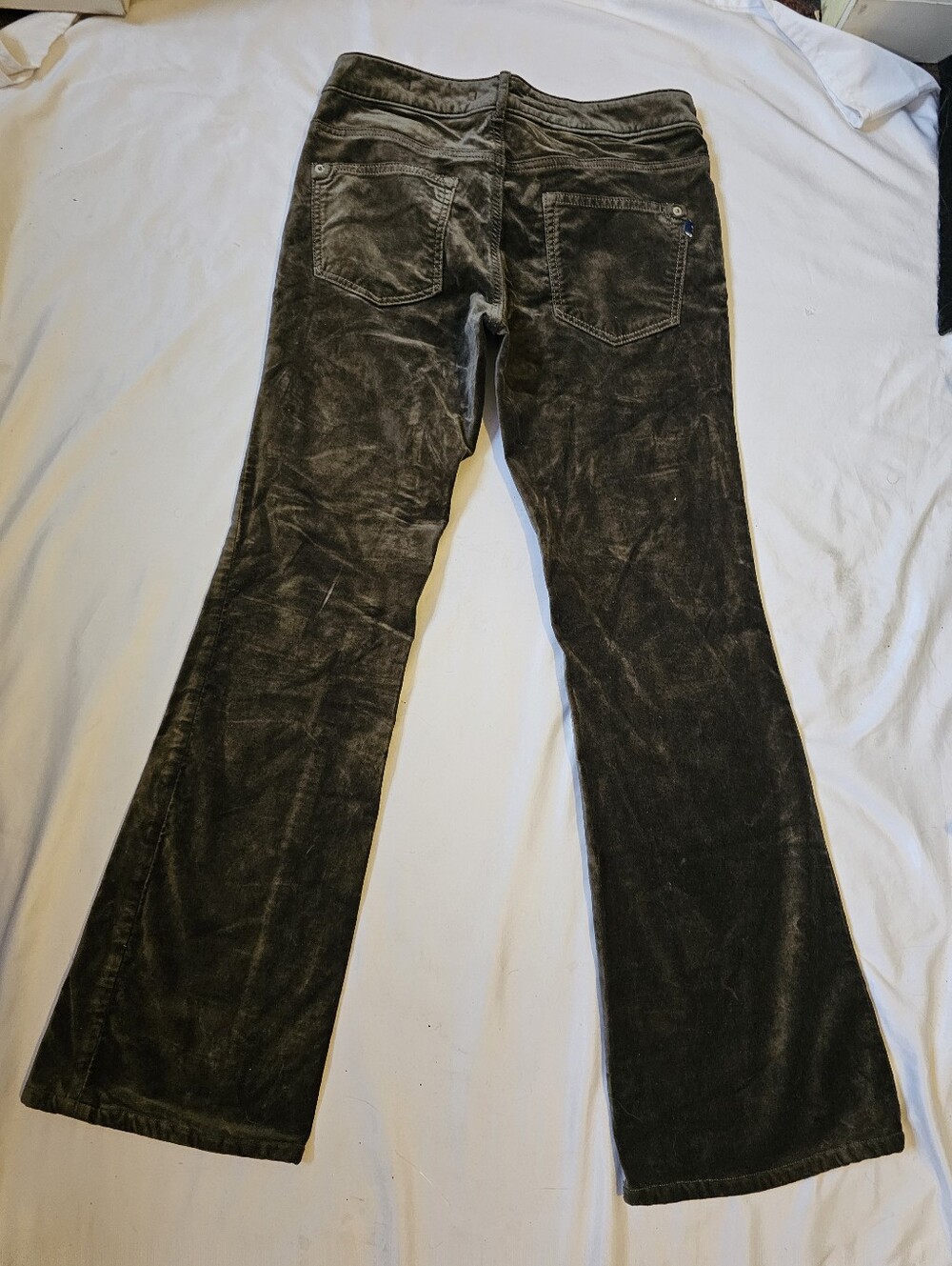Pilcro Anthropologie Olive Gray Velvet Bootcut Pants Size 27 - Picture 14 of 16